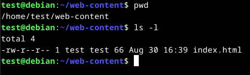 self-host-creating-web-1